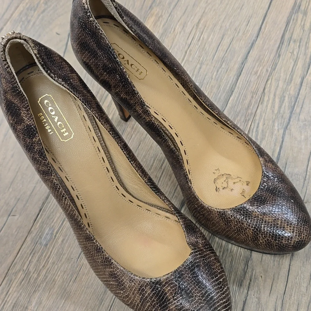Coach Daisee Printed Lizard‎ Heels, 9.5​